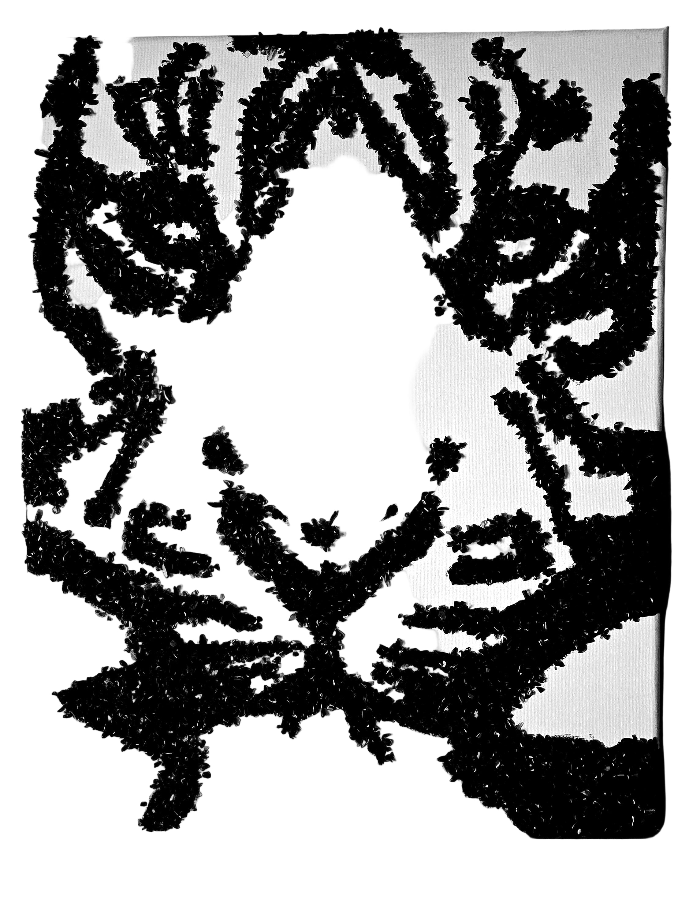 Tiger Obsidian Canvas