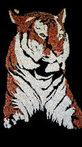 Tiger Canvas