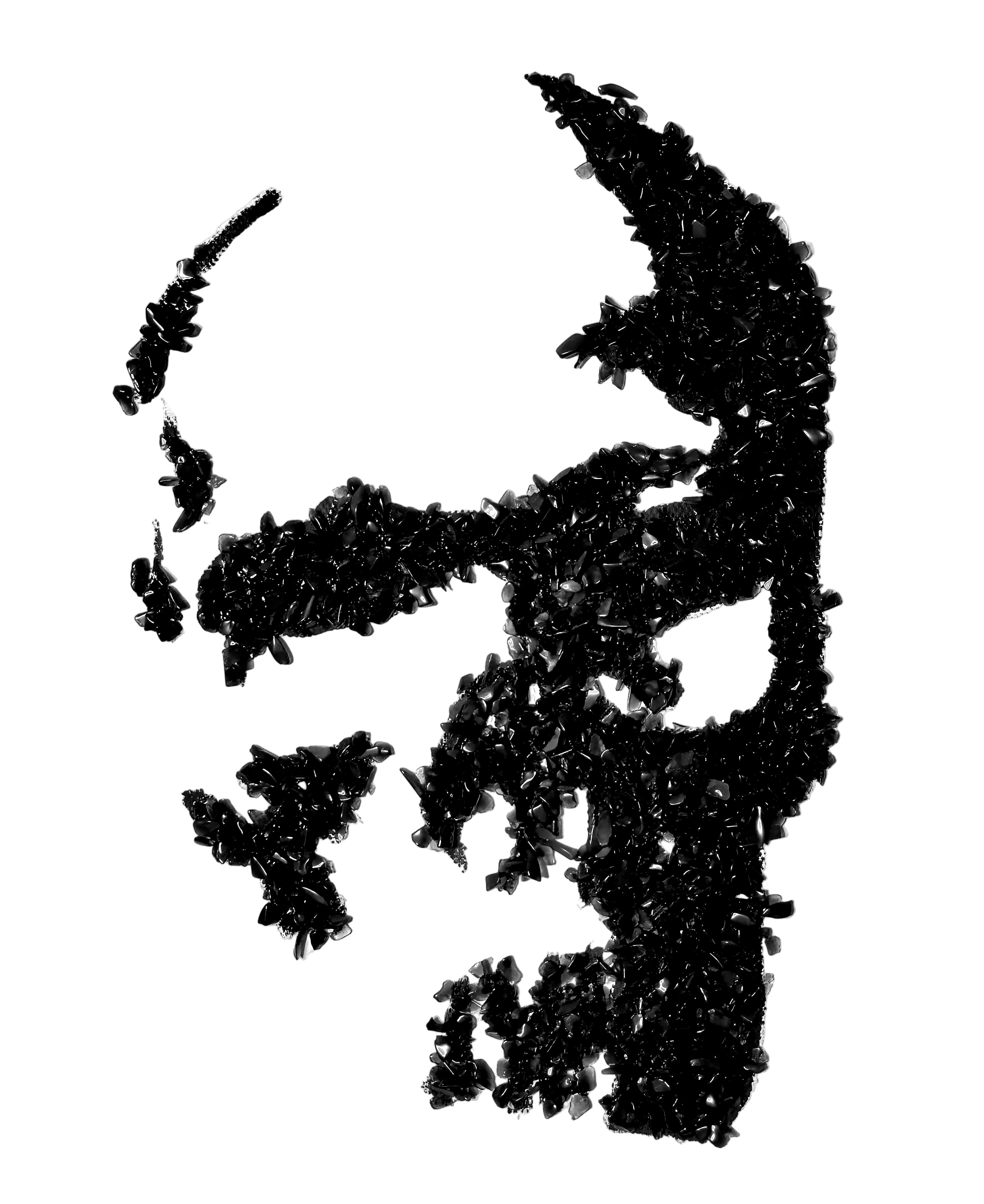 Small Skull Obsidian Canvas